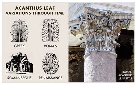 acanthus architecture.